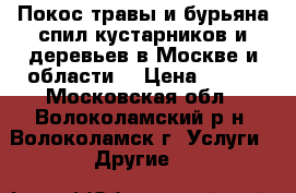 Покос травы и бурьяна,спил кустарников и деревьев в Москве и области. › Цена ­ 500 - Московская обл., Волоколамский р-н, Волоколамск г. Услуги » Другие   